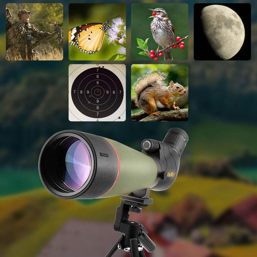 Special lens for bird watching